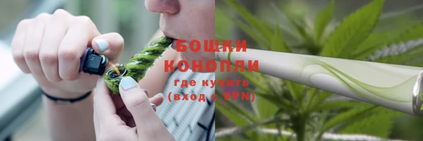 ПСИЛОЦИБИНОВЫЕ ГРИБЫ Балахна