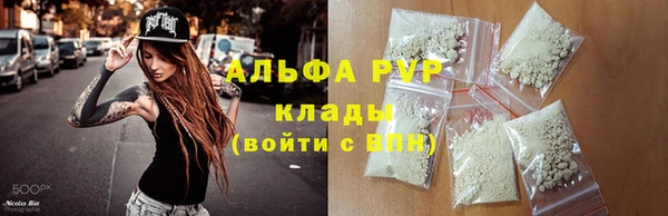 ПСИЛОЦИБИНОВЫЕ ГРИБЫ Балахна
