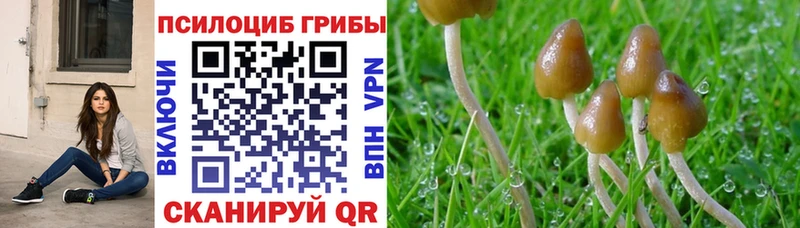 omg рабочий сайт  Котельнич  Псилоцибиновые грибы мухоморы  купить закладку 